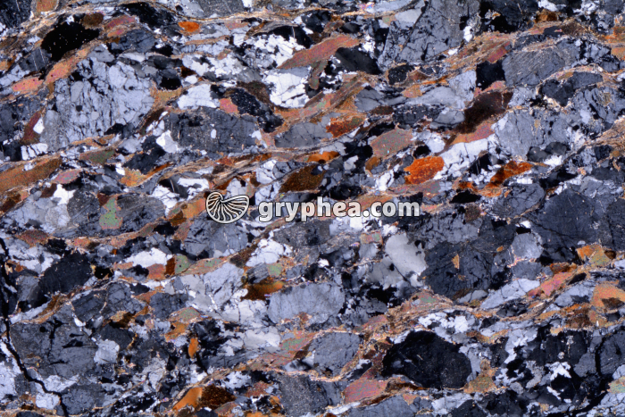 Gneiss LPA x3,5 - gryphea.com